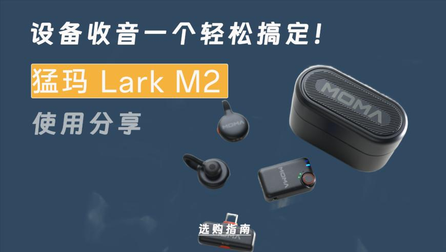 澳门香港开奖,陈岚,公开决策资料解释落实_移动版V13.44