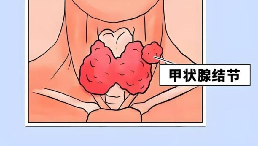 澳门最准马资料免费软件截图,女子出示收款码后被盗刷1400多元,广泛的解释落实方法分析_静态版V12.41