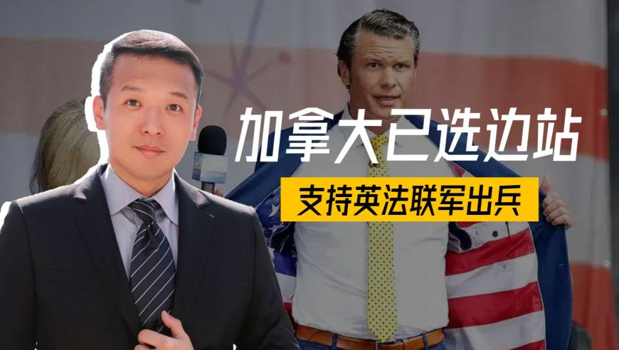 一口气看海贼最终章主线,澳门金牌免费资料查询,全面解答解释落实_交互版V5.34